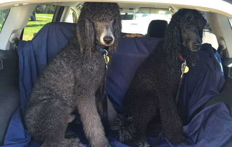 Large Waterproof Sheet