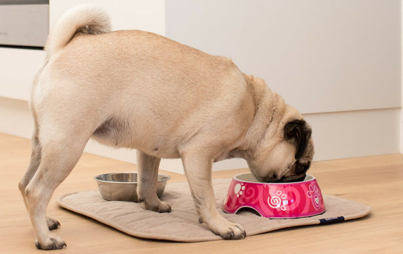 Pet Chair Pad