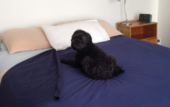Large Waterproof Sheet