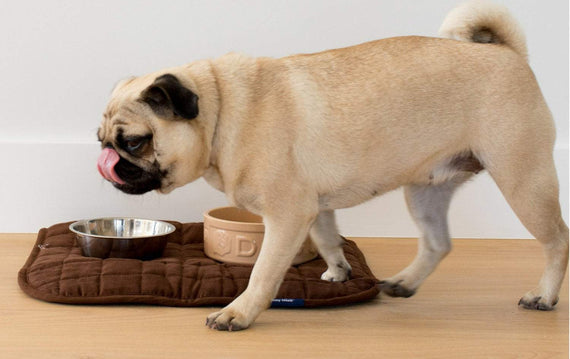 Pet Place Mat