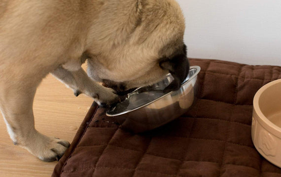 Pet Place Mat