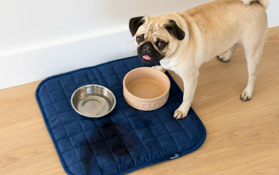 Pet Chair Pad